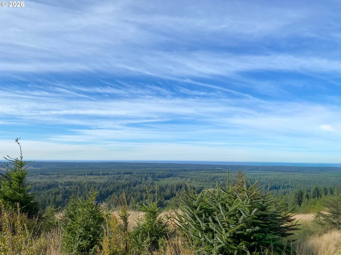 Photo of 45721 HIGHWAY 101