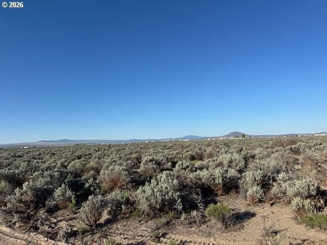 Photo of Unit 3000 at Bark Loop