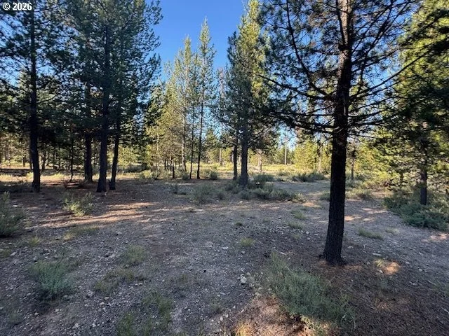 Photo of Unit 100 at Bear Flat RD