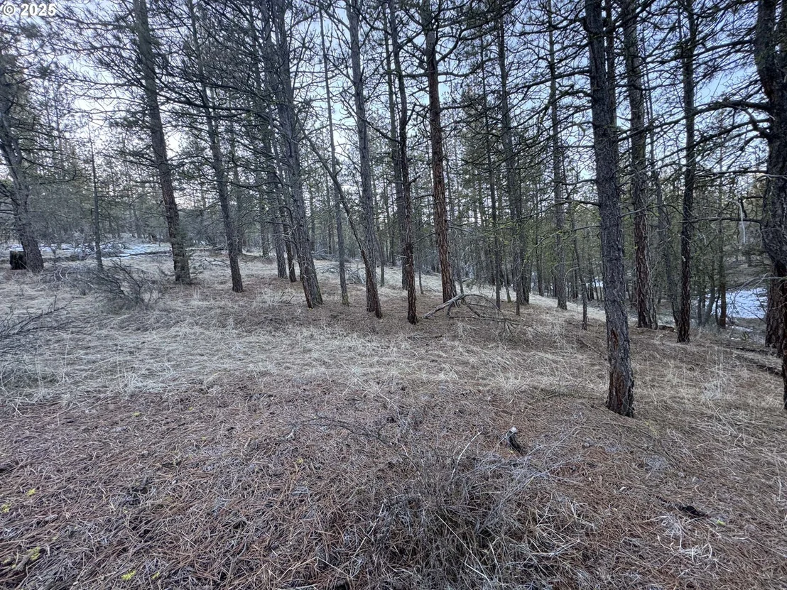 Photo of Unit LOT7 at Bobcat CIR