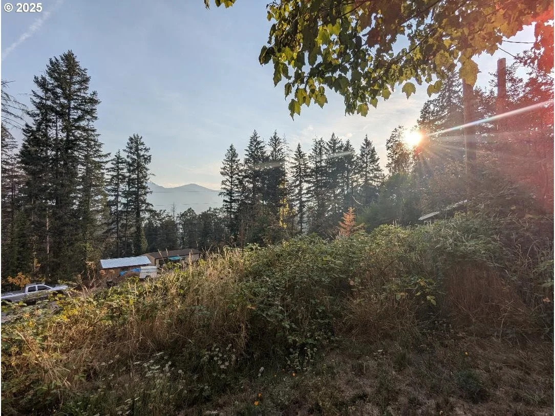 Photo of 48391 ROBERTS RD