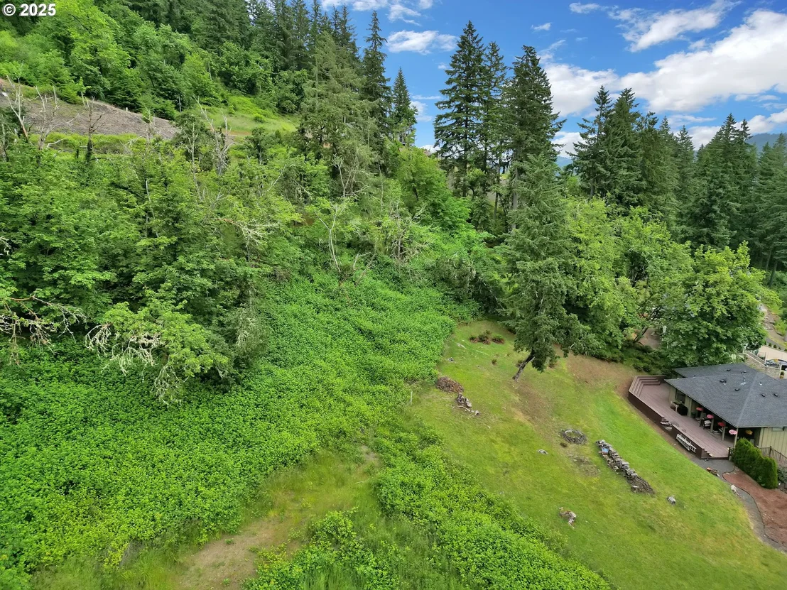 Photo of Forest Ridge
