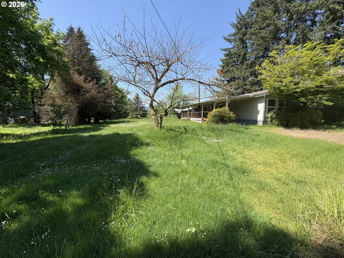 Photo of 92008 MAPLE LN