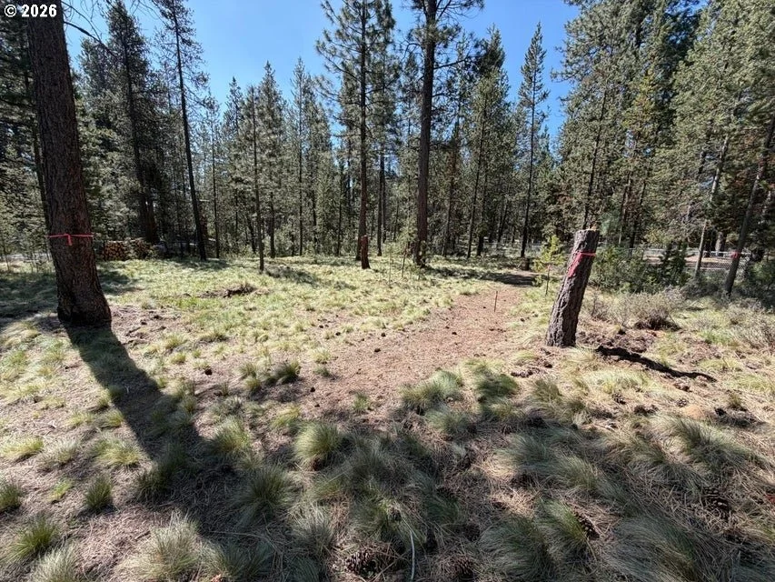 Photo of 17019 UPLAND RD