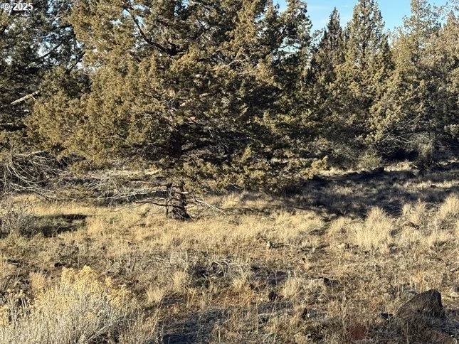 Photo of Unit 5 at Canvasback DR