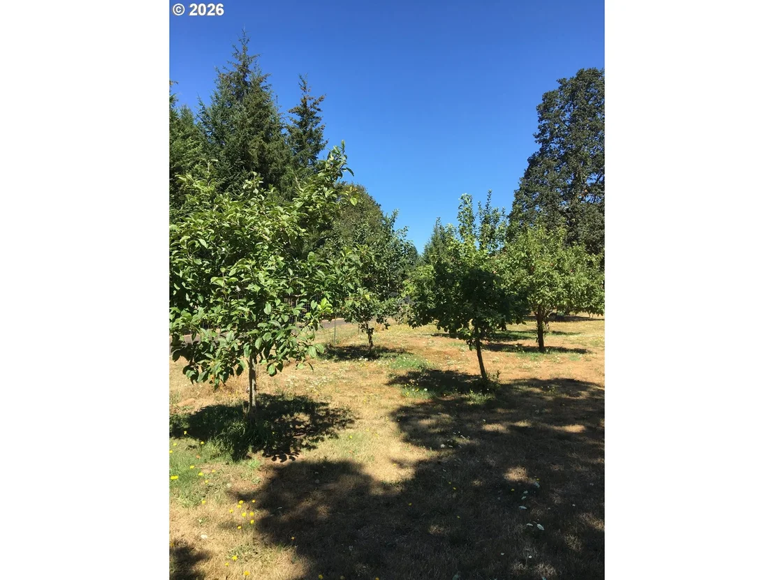 Photo of 29821 JEANS RD