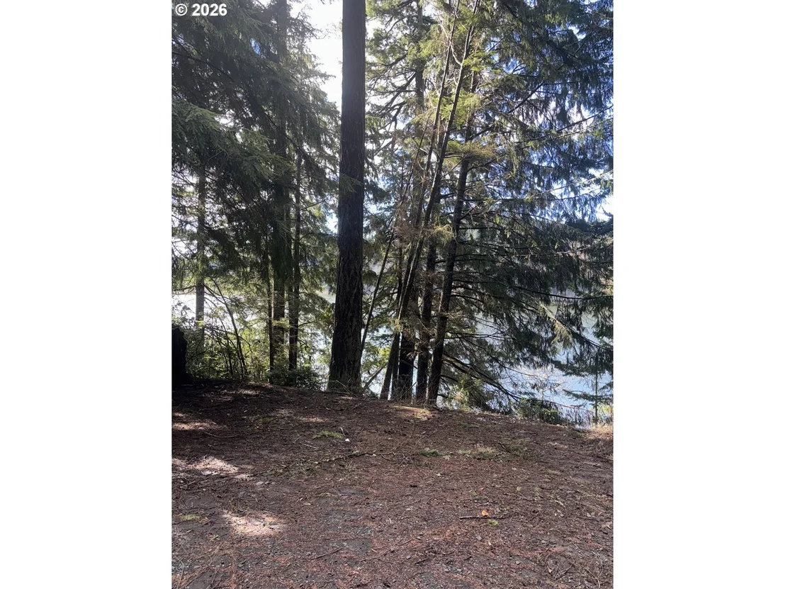 Photo of 72294 POTLATCH RD