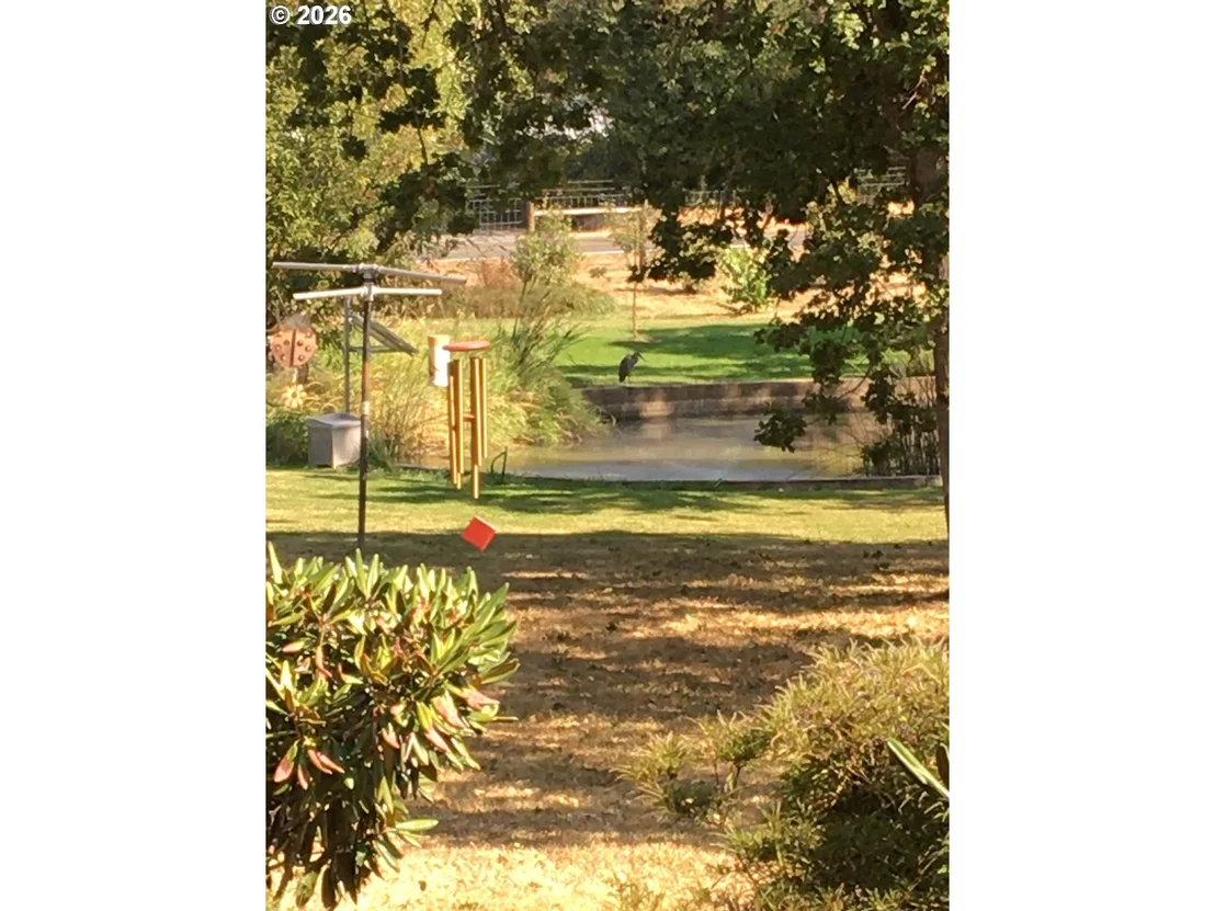 Photo of 29821 JEANS RD