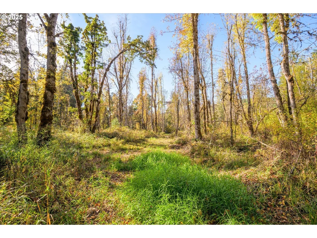 Photo of Siuslaw River RD