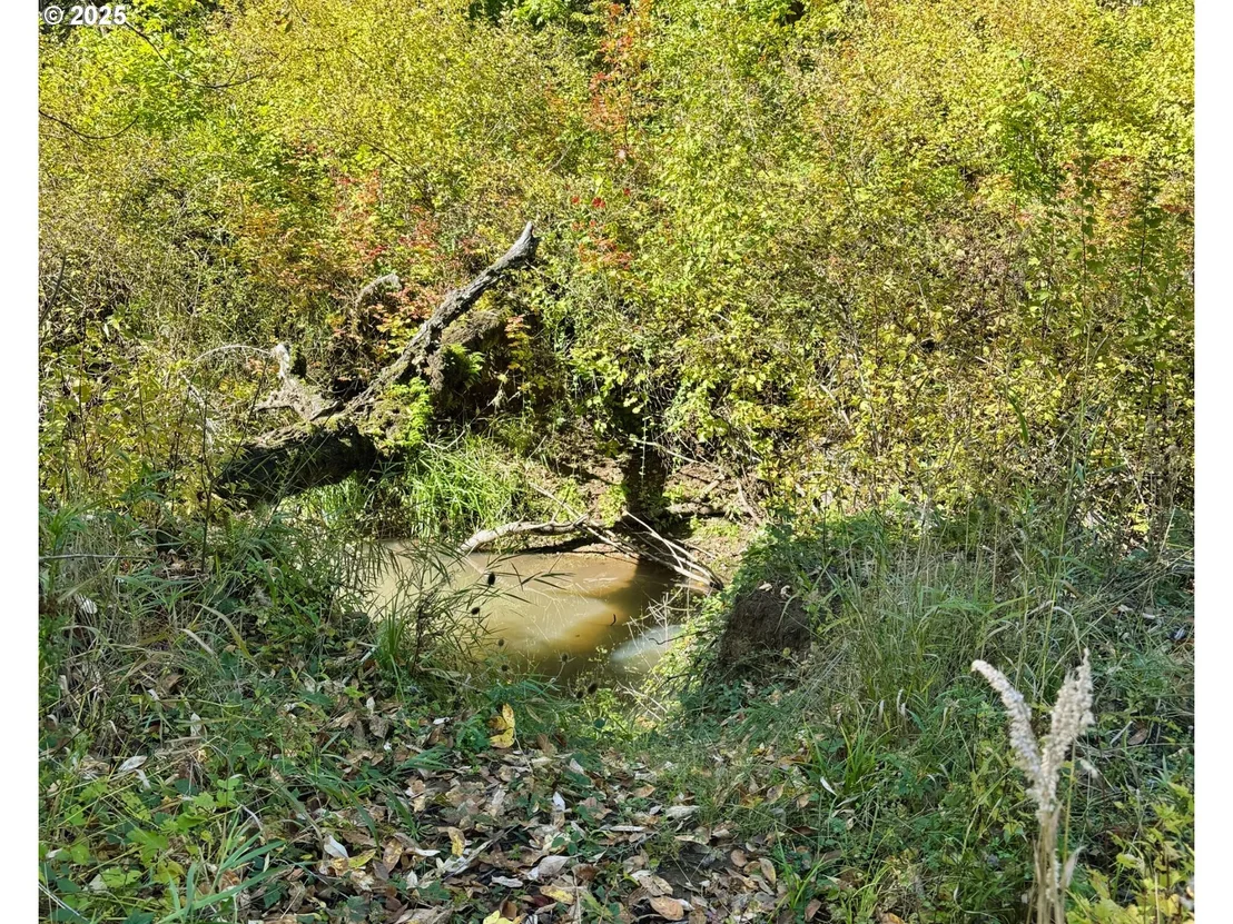 Photo of Siuslaw River RD