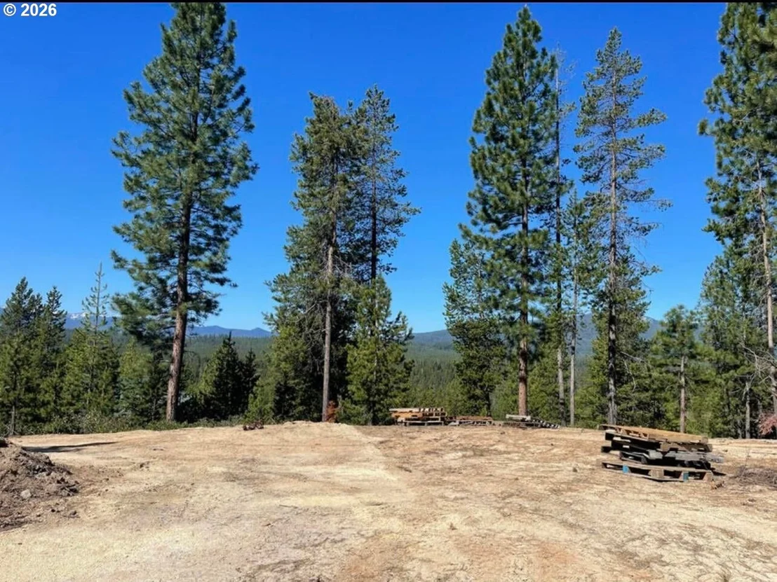 Photo of 18915 ALPINE BREEZE WAY
