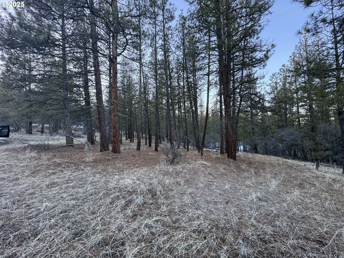 Photo of Unit LOT7 at Bobcat CIR