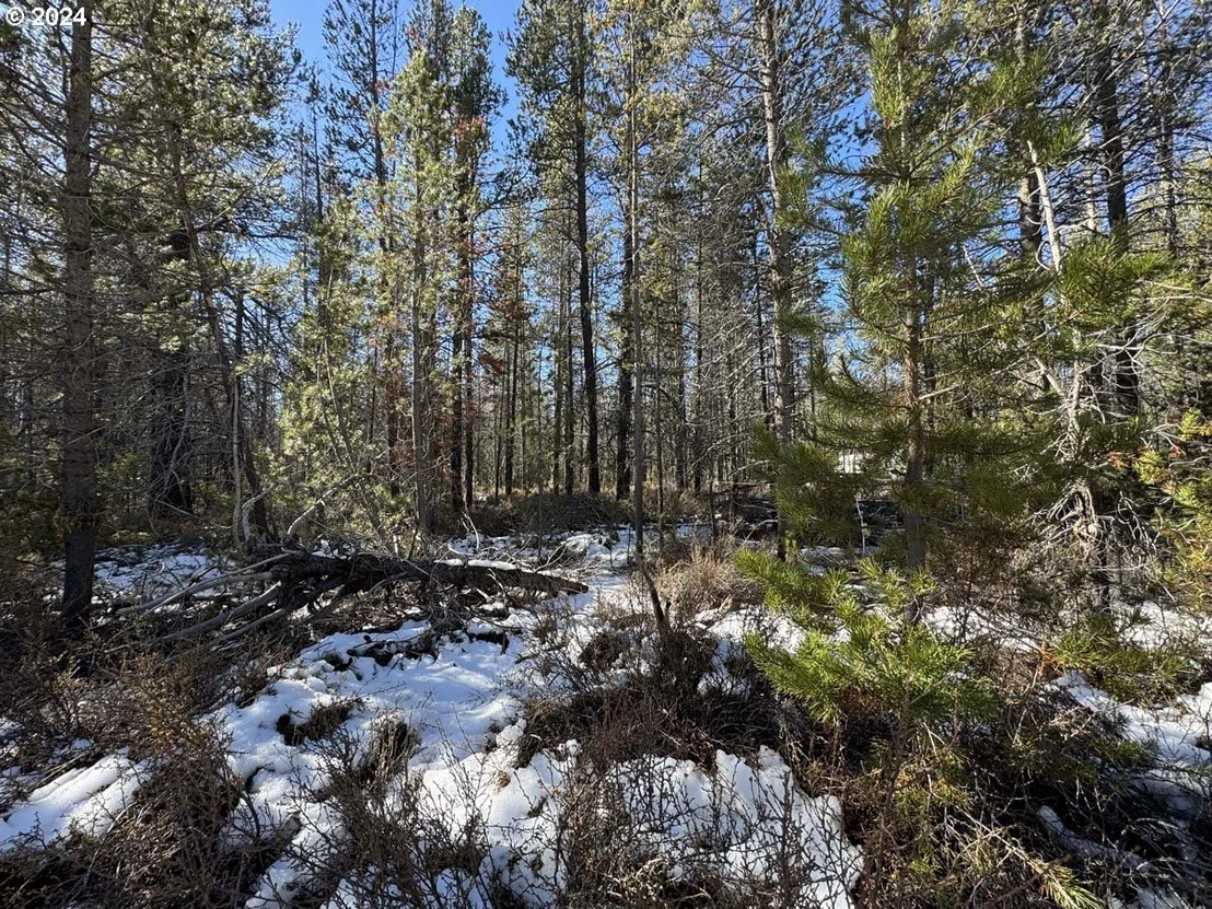 Photo of Unit LOT14 at Cloudcap DR