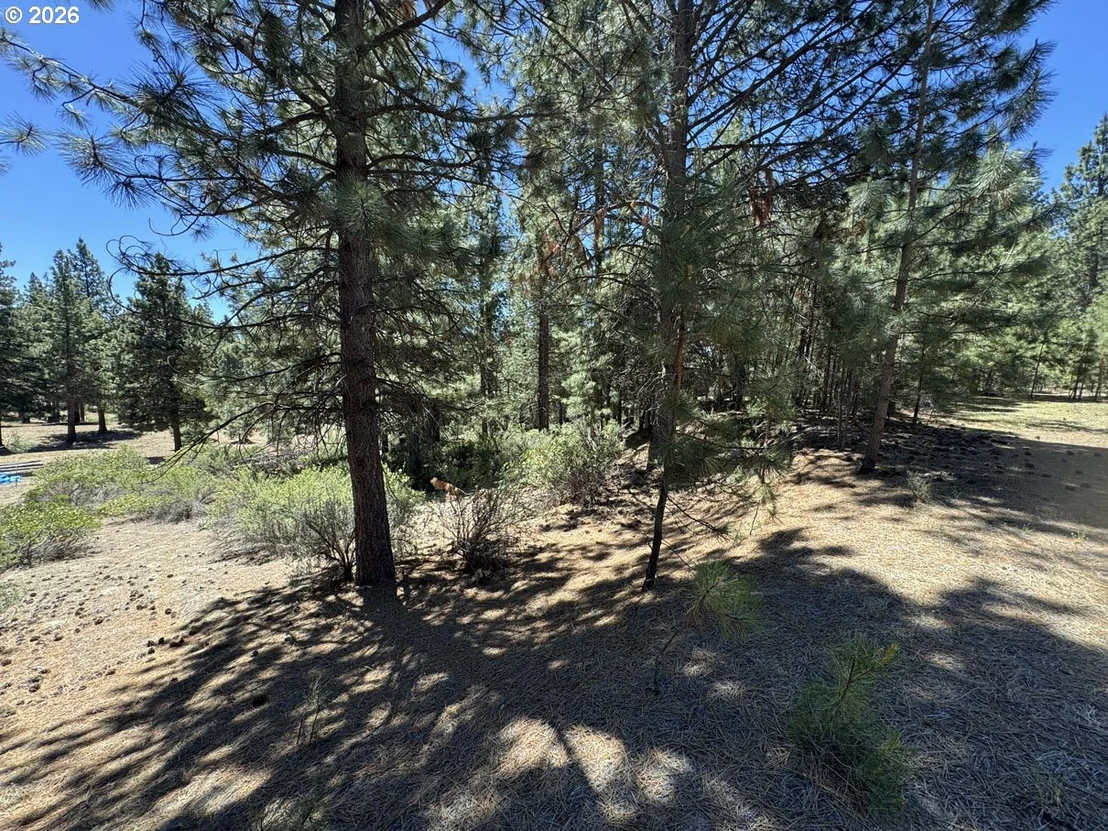 Photo of Unit 12 at Friendship DR