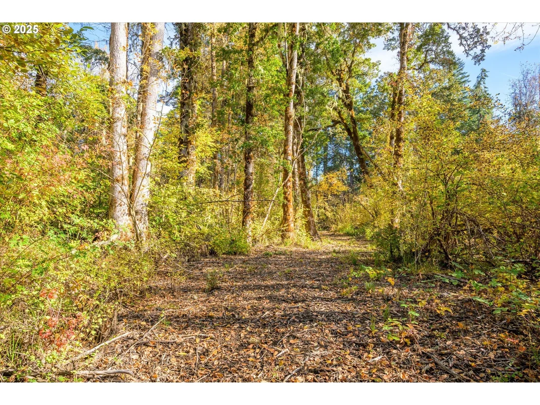 Photo of Siuslaw River RD