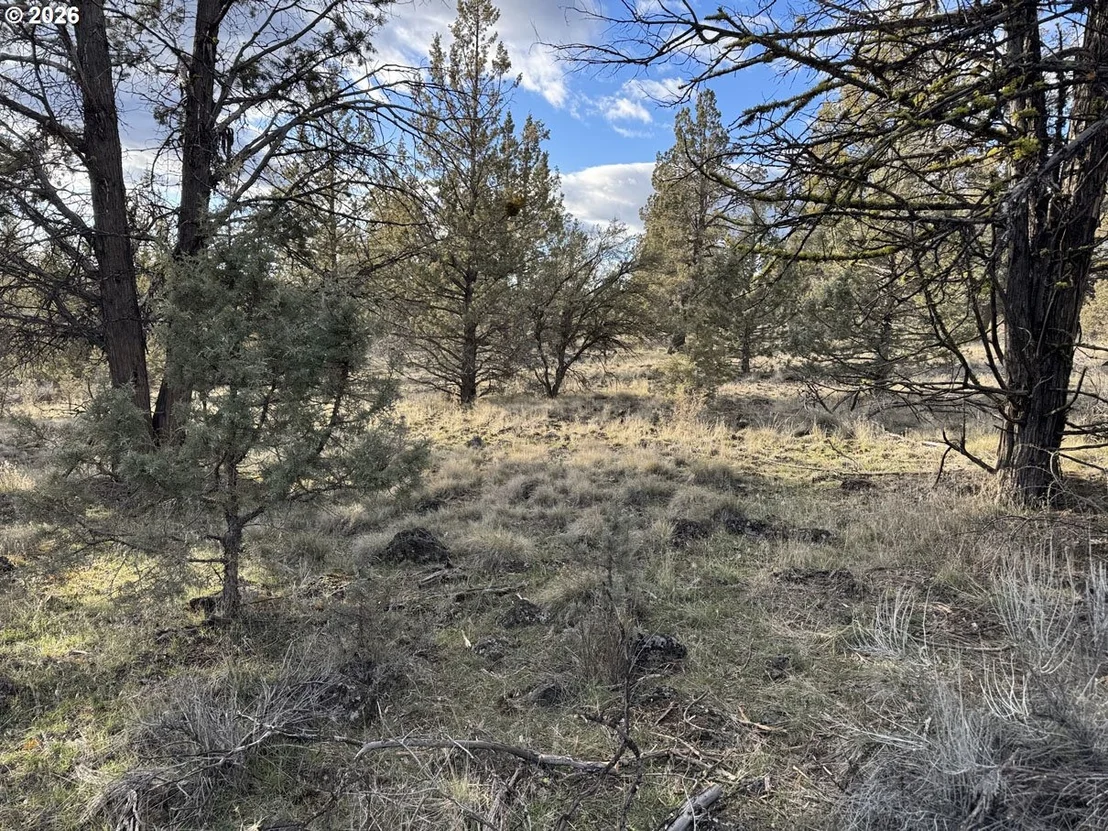 Photo of Unit 36 at Canvasback DR