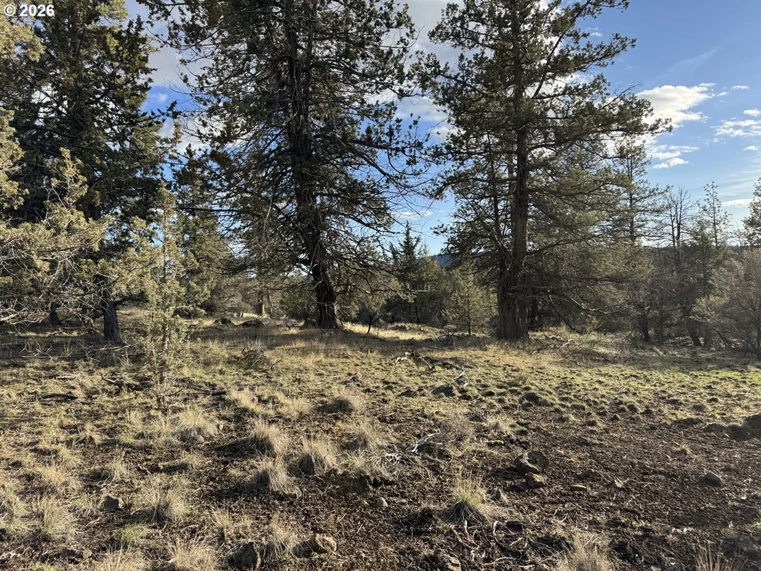 Photo of Unit 35 at Canvasback DR