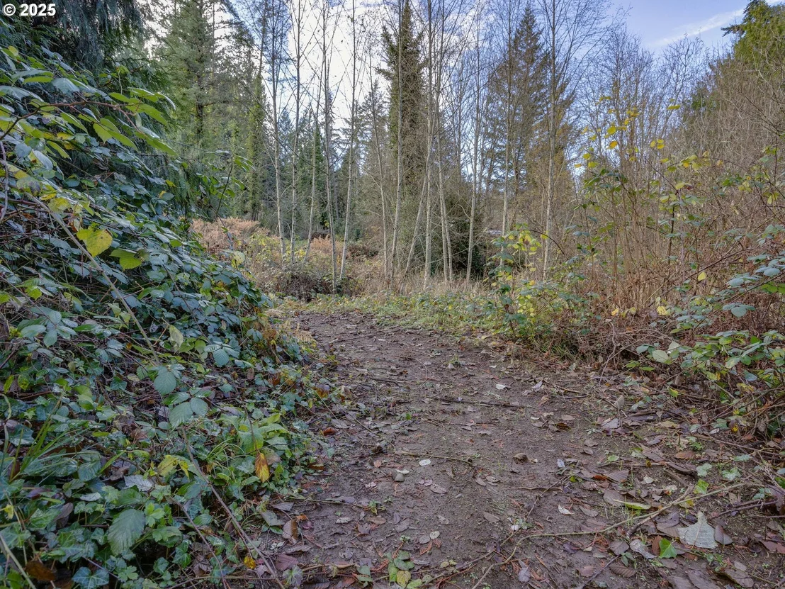 Photo of Coalman RD