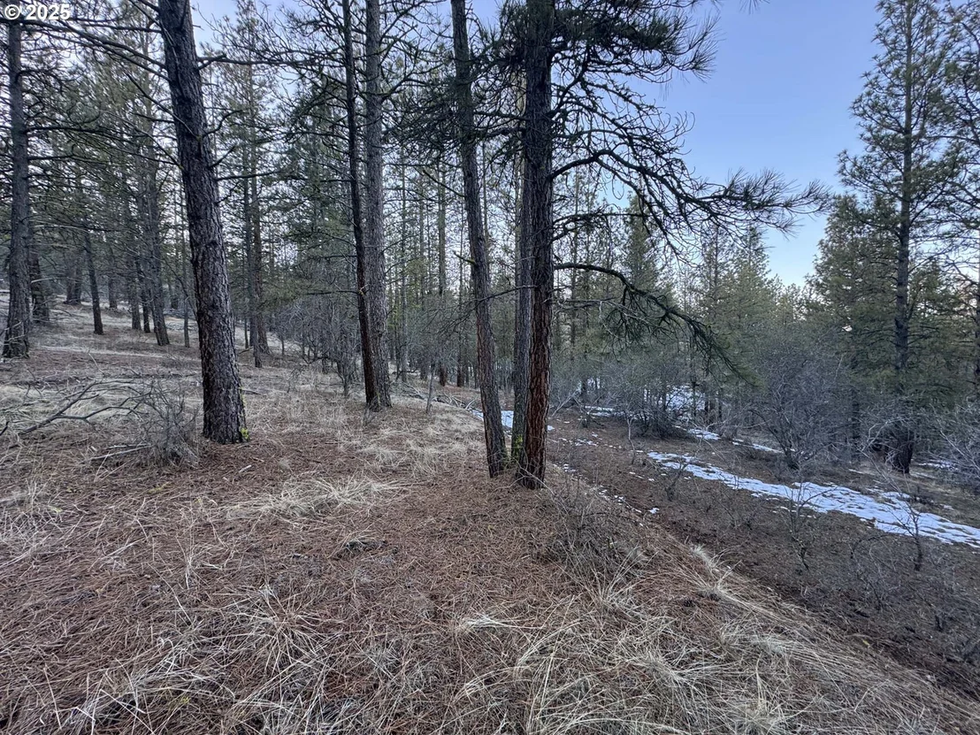 Photo of Unit LOT7 at Bobcat CIR