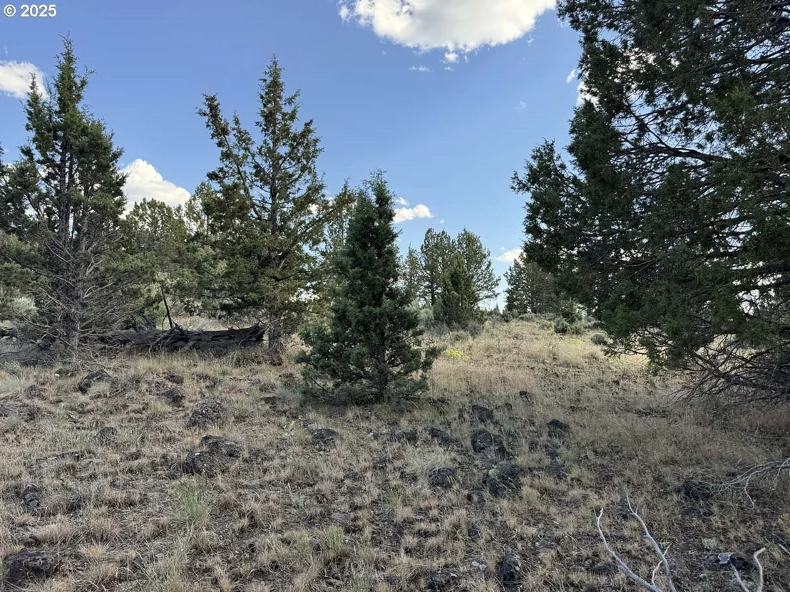 Photo of Unit 300 at HWY 140