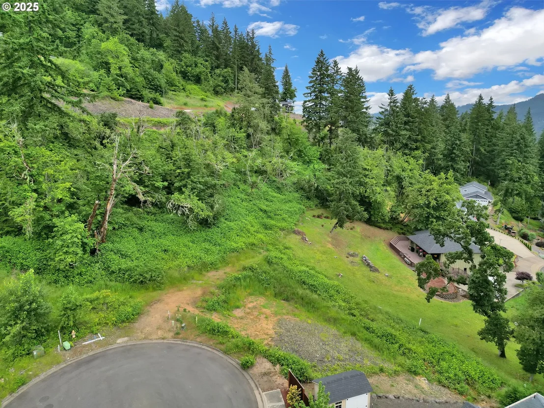 Photo of Forest Ridge Dr