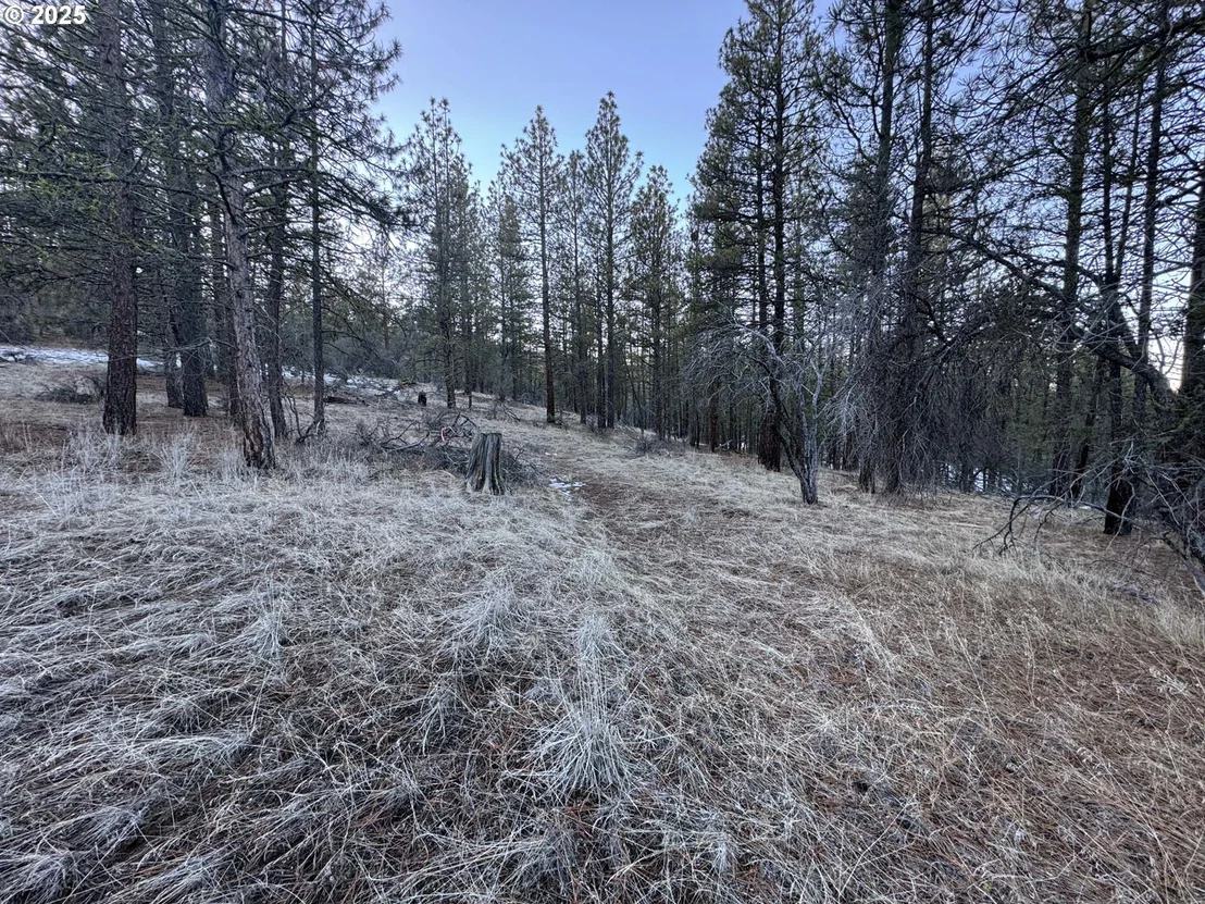 Photo of Unit LOT7 at Bobcat CIR
