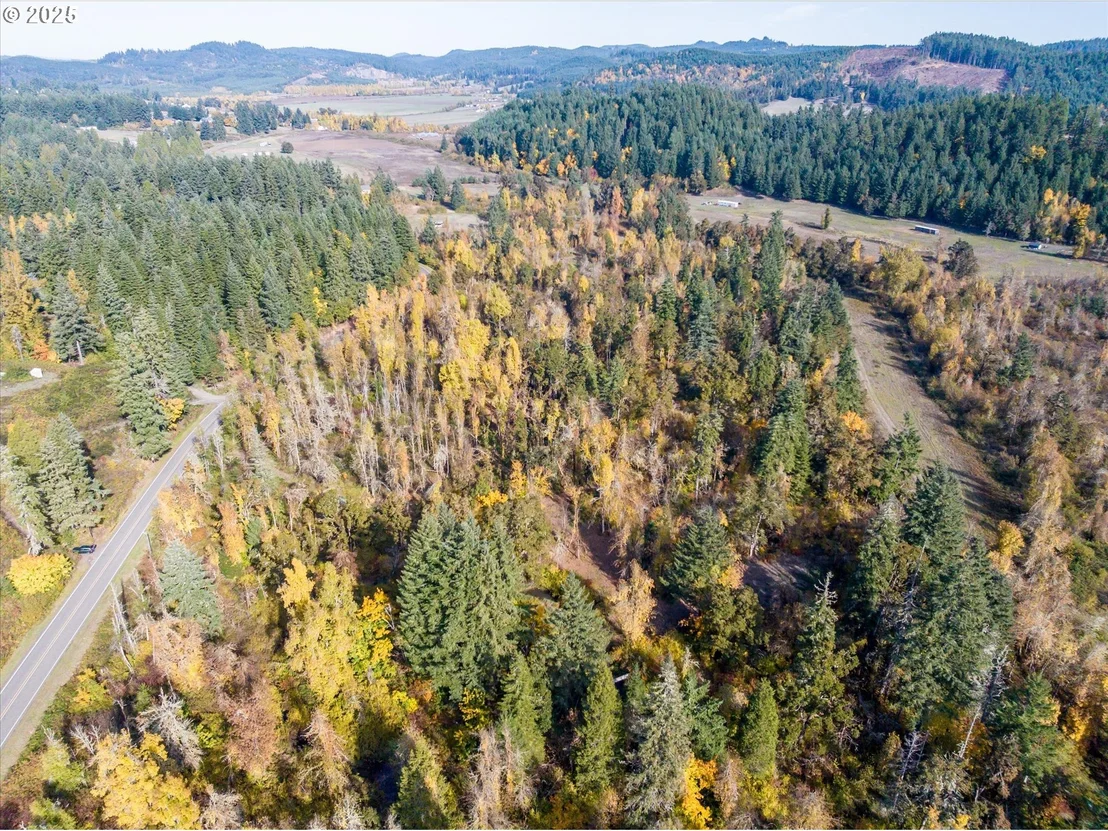 Photo of Siuslaw River RD