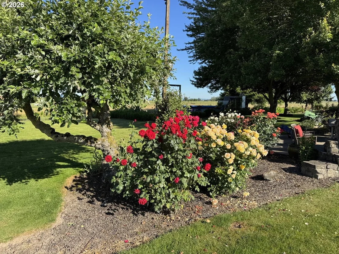 Photo of 33174 LANGMACK RD