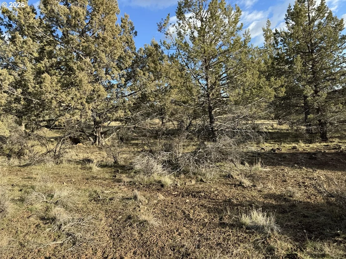 Photo of Unit 36 at Canvasback DR