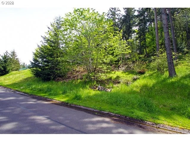 Photo of 0 Rockridge LOOP