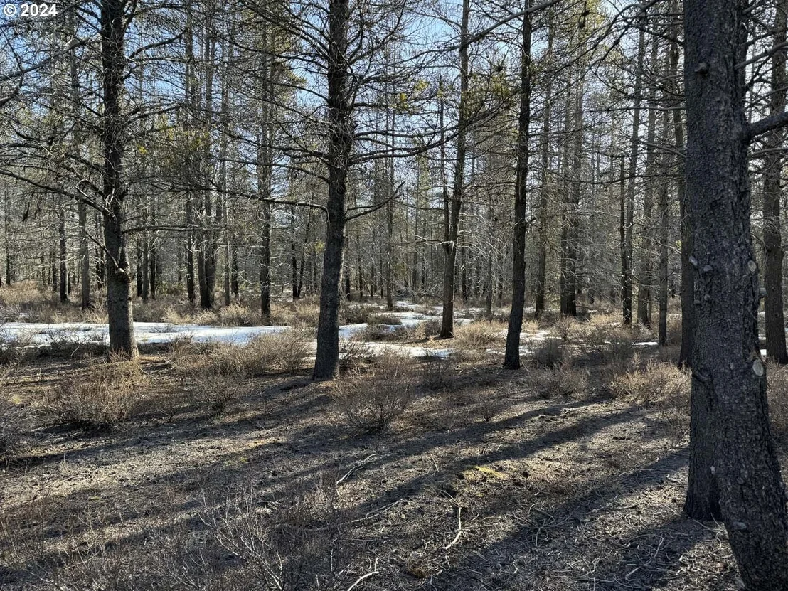 Photo of Unit LOT6 at Scott View Drive