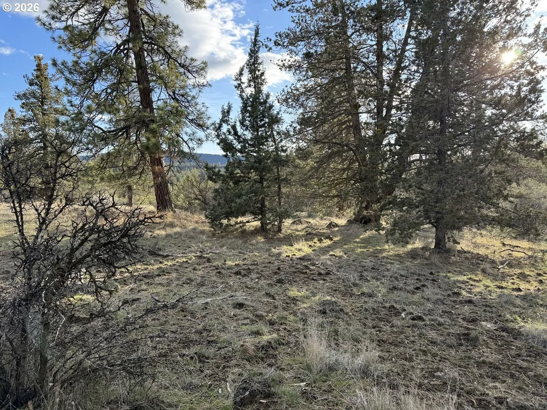 Photo of Unit 35 at Canvasback DR