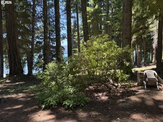Photo of 22862 HIGHWAY 58