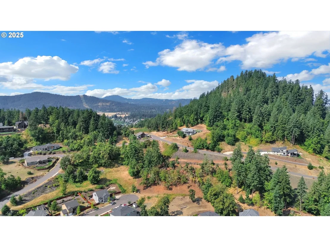 Photo of Forest Ridge