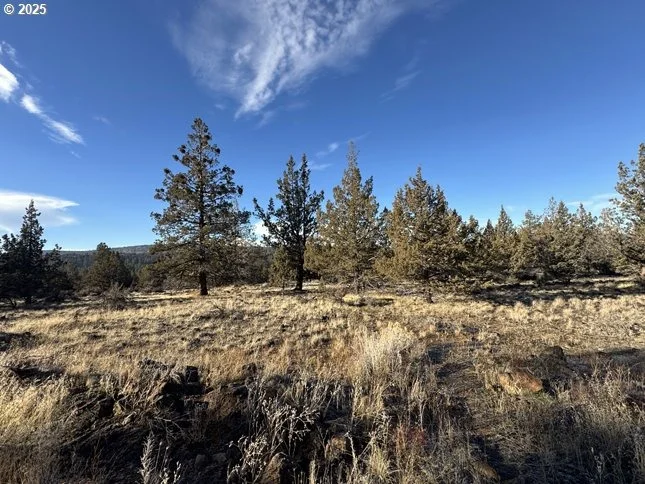 Photo of Unit 5 at Canvasback DR