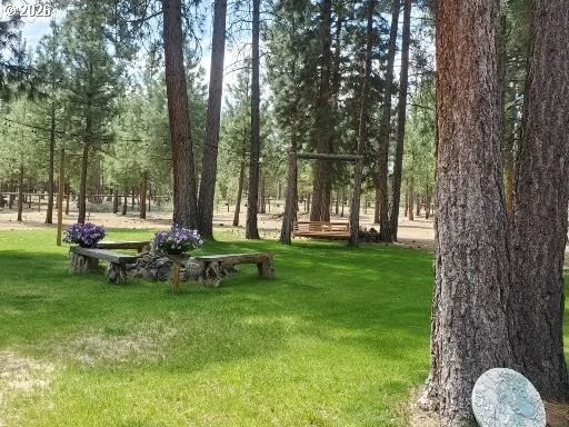 Photo of 14741 N SUGAR PINE WAY