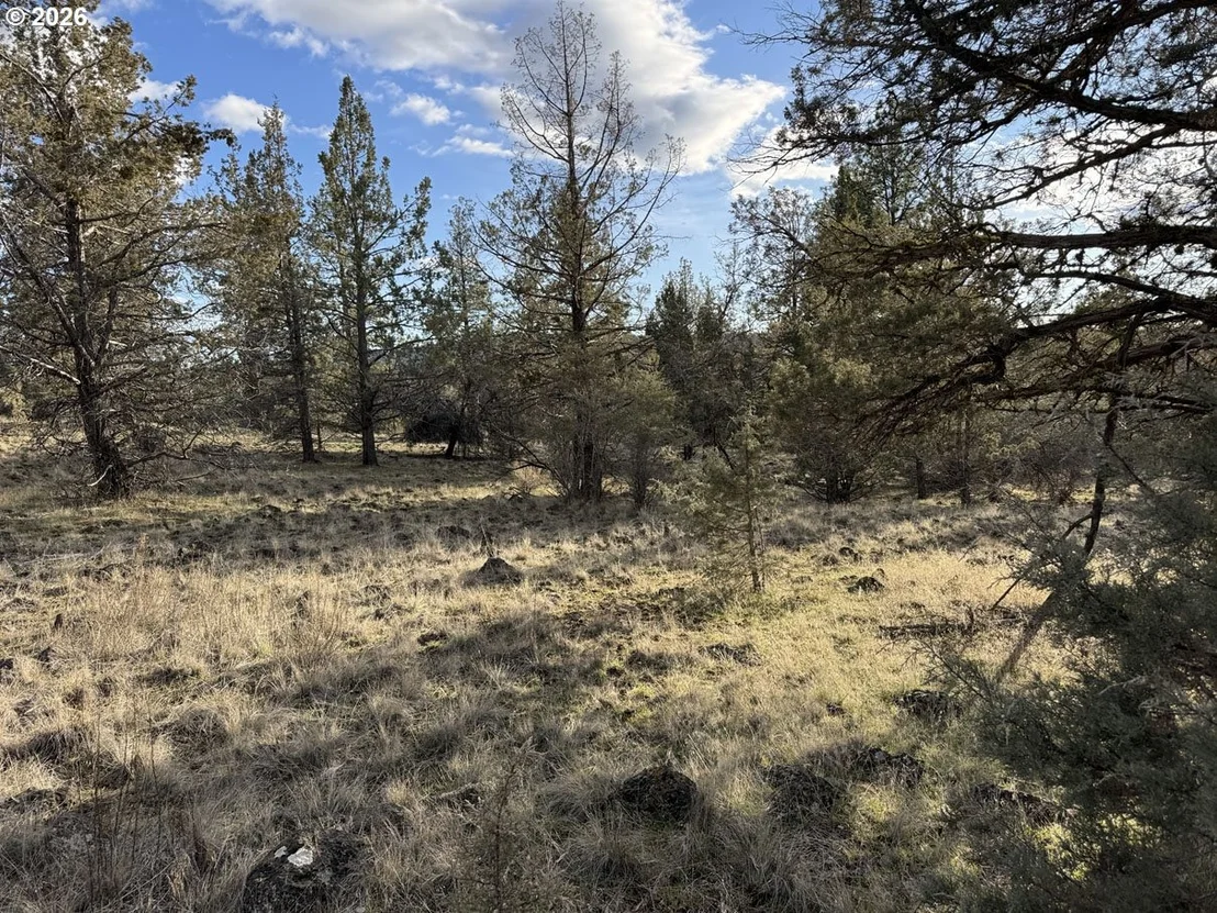 Photo of Unit 36 at Canvasback DR