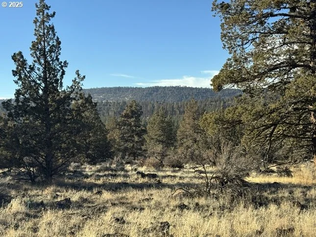 Photo of Unit 5 at Canvasback DR