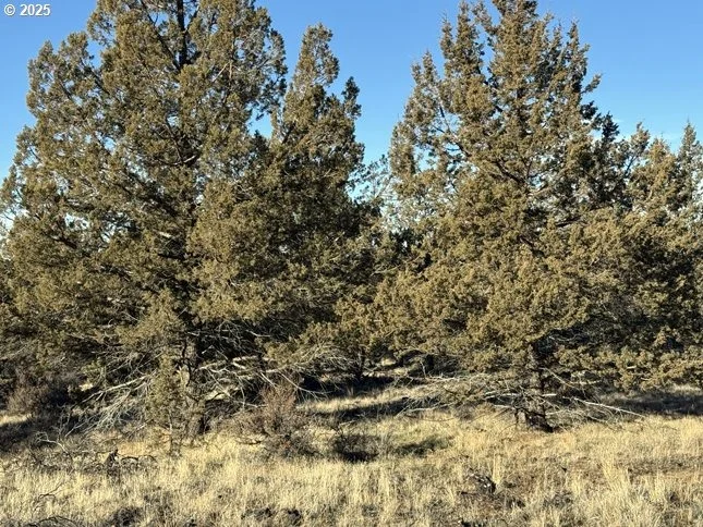 Photo of Unit 5 at Canvasback DR