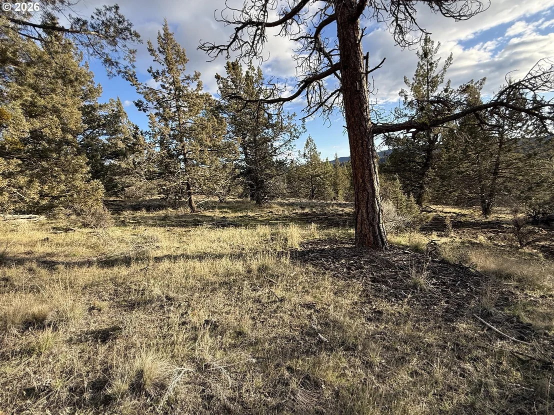 Photo of Unit 35 at Canvasback DR