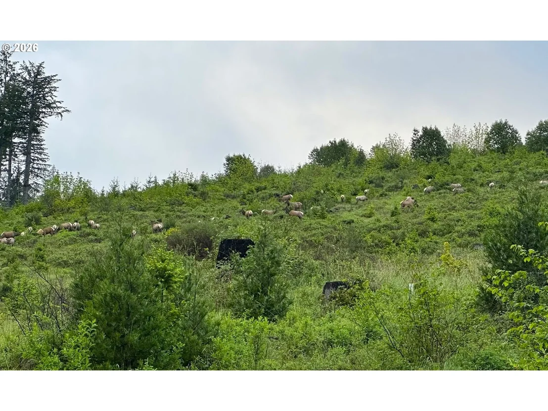 Photo of 48232 WESTOAK RD