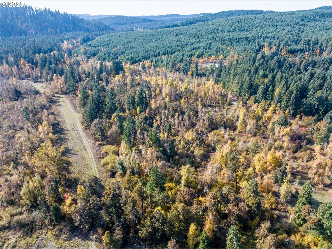 Photo of Siuslaw River RD