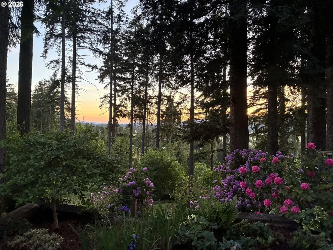 Photo of 88108 TIKI LN