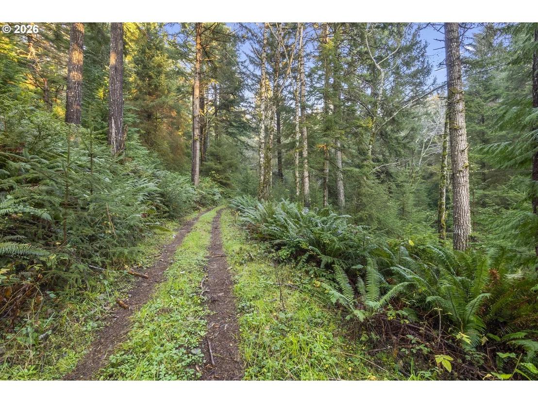 Photo of 45721 HIGHWAY 101