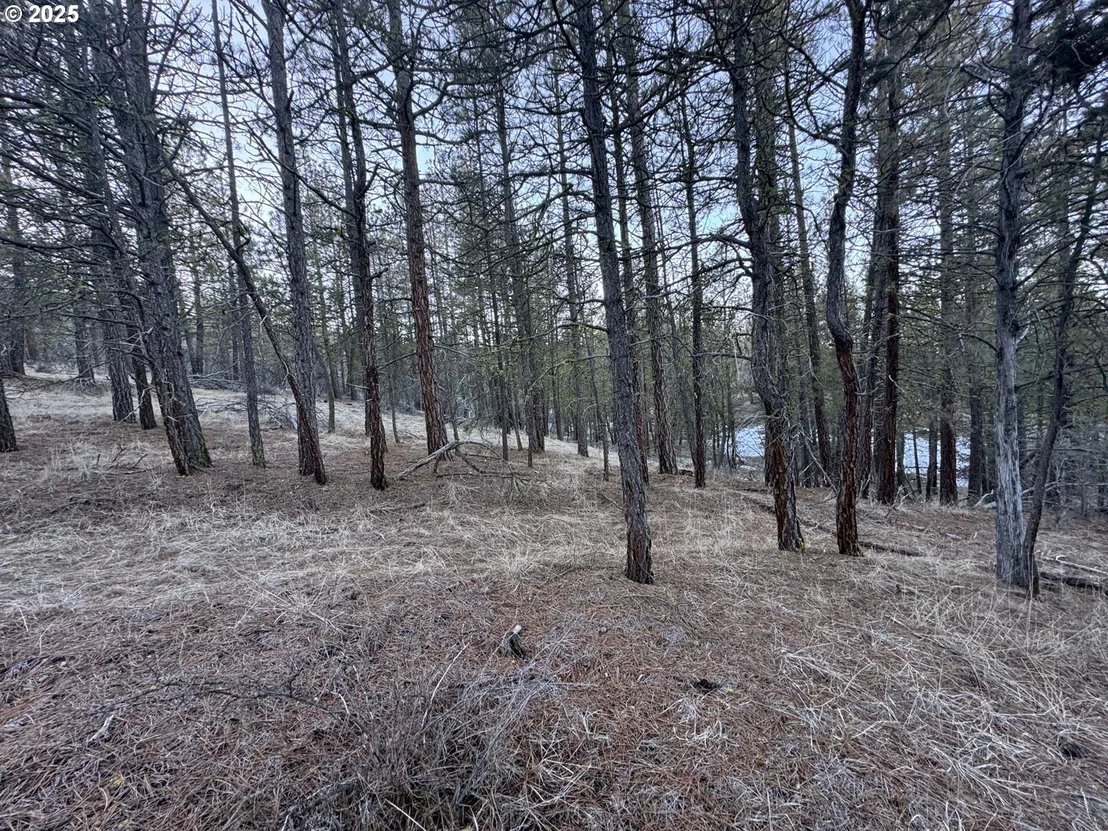 Photo of Unit LOT7 at Bobcat CIR