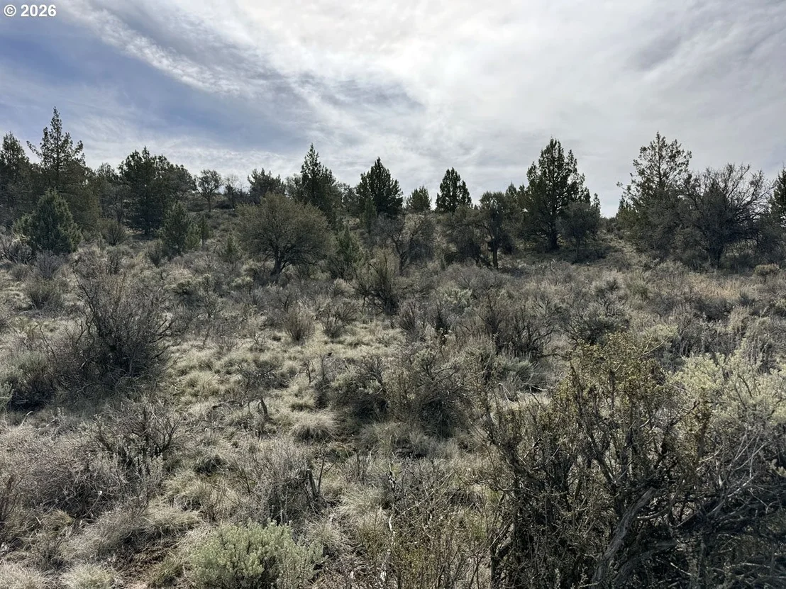 Photo of Unit 900 at Off HWY 140