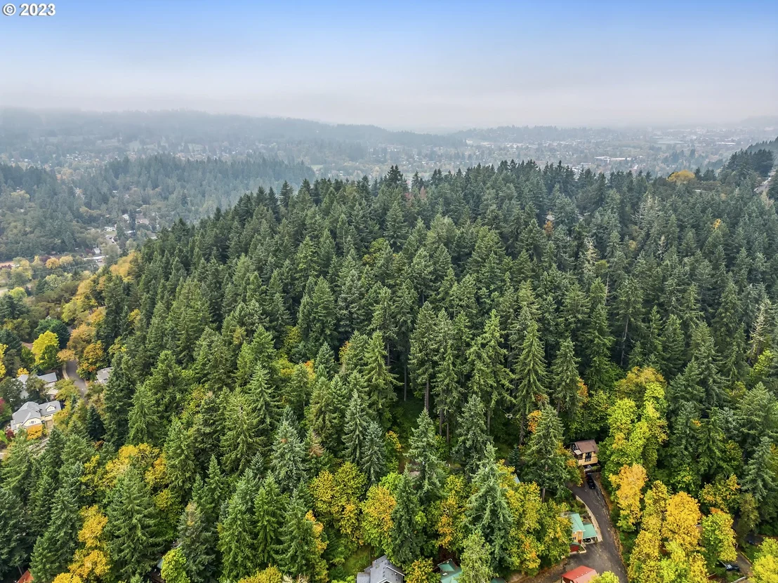 Photo of N Shasta Loop