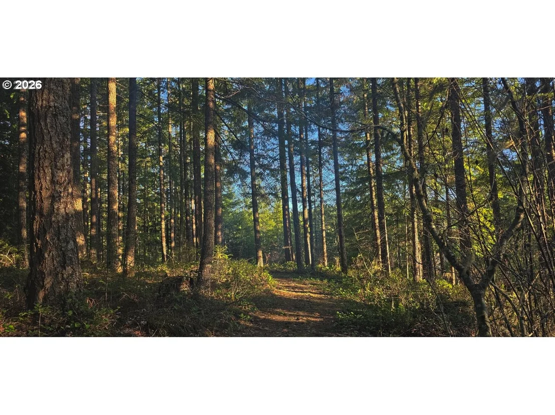 Photo of 55240 MCDONALD RD
