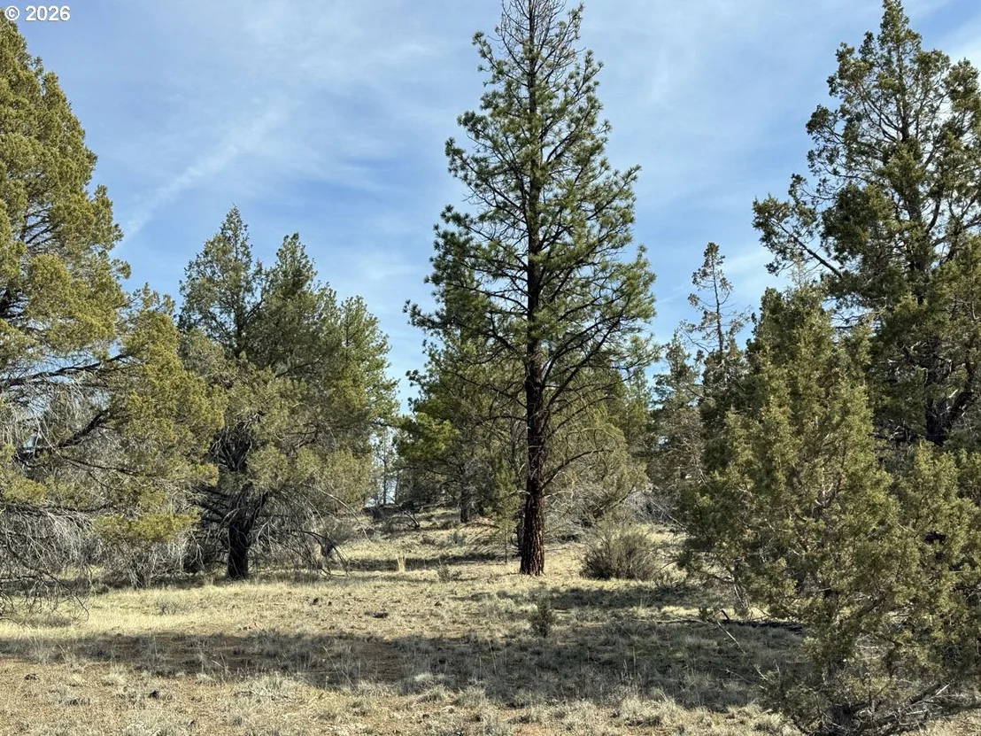 Photo of Unit 1100 at Yellow Jacket Spring RD