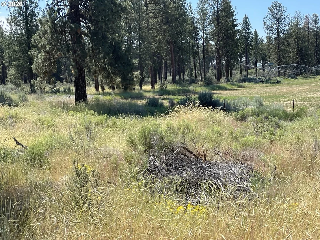Photo of Unit 100 at S. Chiloquin Road